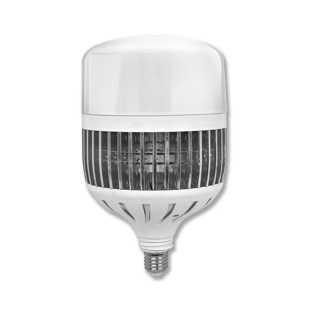 Lâmpada Bulbo LED ECO 6.500K 100W – AL99762